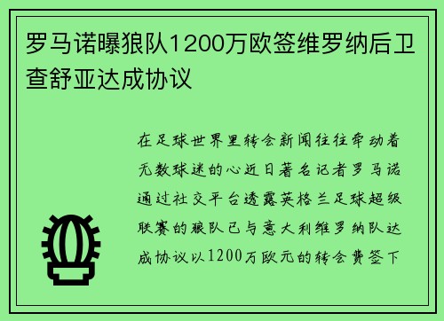 罗马诺曝狼队1200万欧签维罗纳后卫查舒亚达成协议